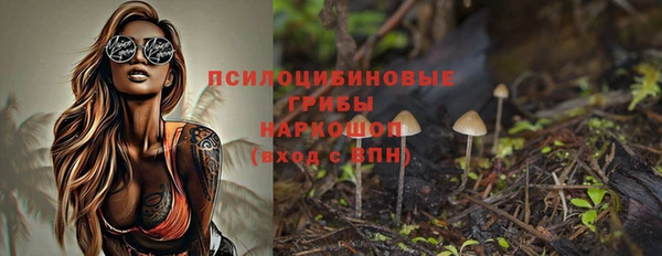 винт Арсеньев